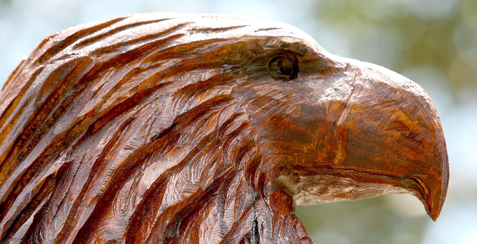 Golden eagle